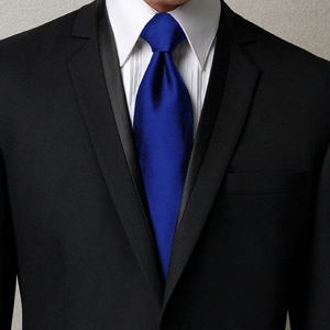 素色领带