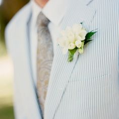 婚庆领带